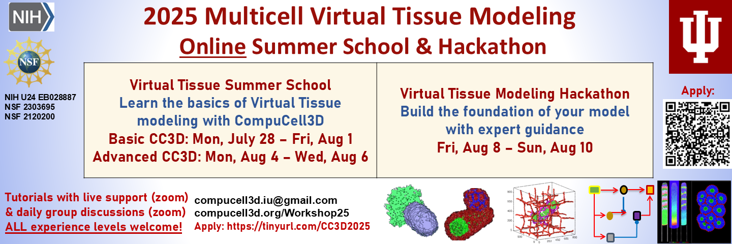 2025 Twitter Banner 2025 Twitter Banner